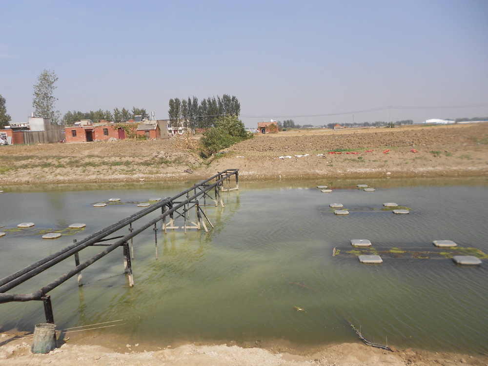 DSCN2414.JPG