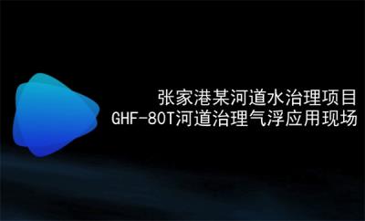 张家港某河道水治理项目GHF-80T河道治理气浮应用现场